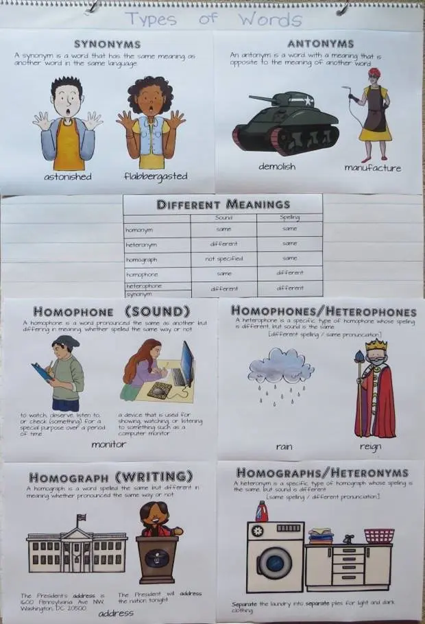 Types of Words