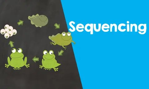 Chronological, Sequential, and Consecutive Order