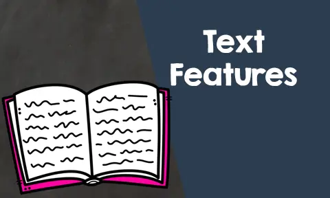 Learning about Text Features
