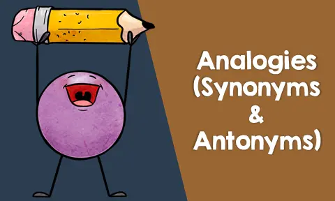 Synonym and Antonym Analogies