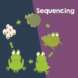 Text Structures Sequencing