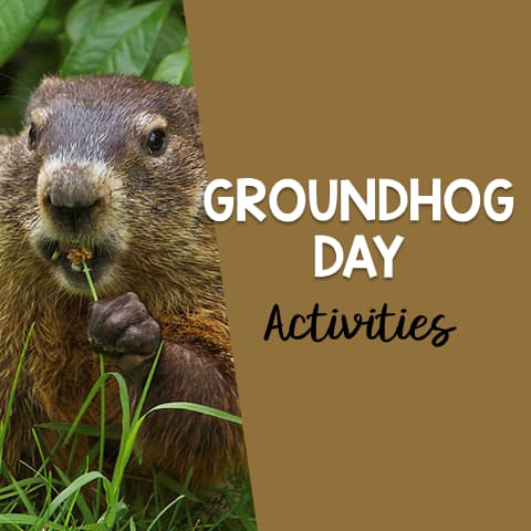 Groundhog Day Activities