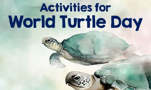 Activities for World Turtle Day