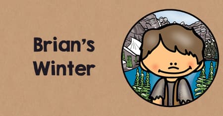 Brian’s Winter Teaching Activities