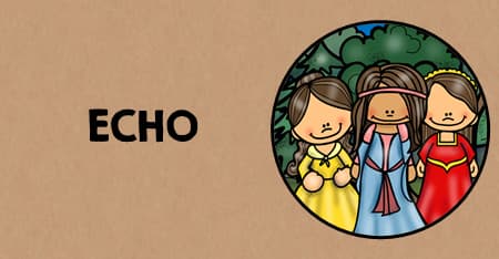 Echo Teaching Activities