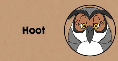 Activities to do with the novel Hoot by Carl Hiaasen