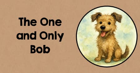 Activities to do with the Novel The One and Only Bob
